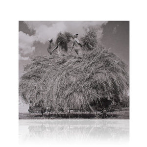 Field Songs | CD